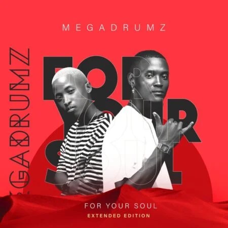 Megadrumz ft Lady Du – Tjina